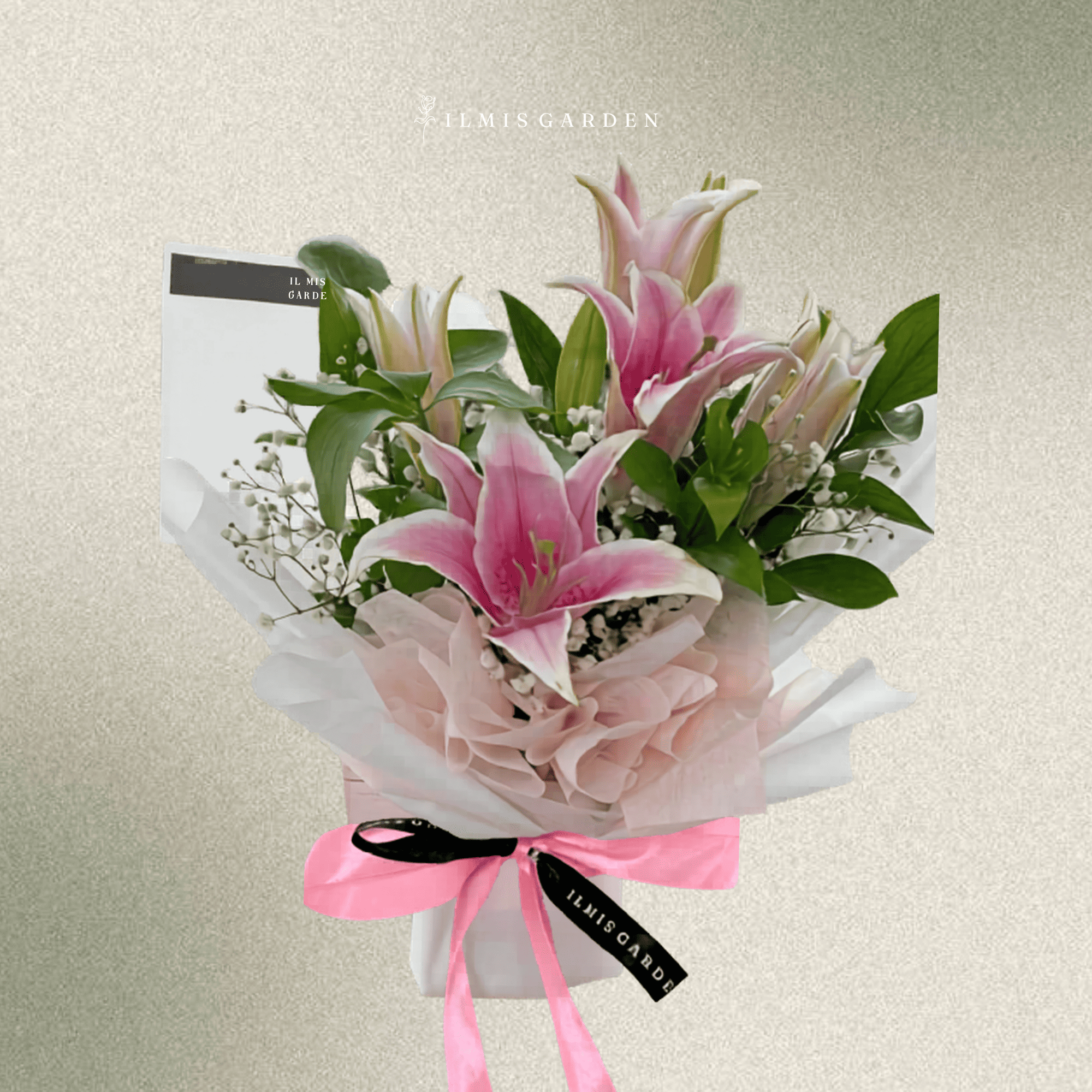 Pink Lily Blossom